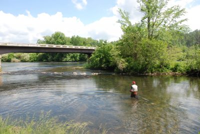 Fly Fishing photo1