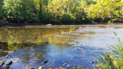 fish-weir-gee-creek